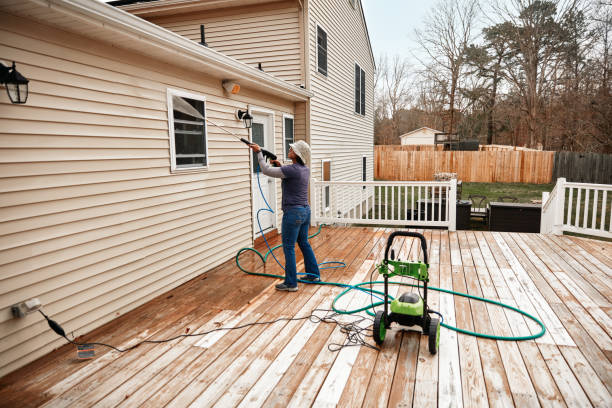 Best Roof Pressure Washing  in Cobb Island, MD