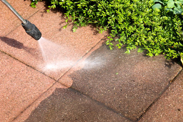 Best Concrete Pressure Washing  in Cobb Island, MD